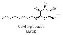 N-Octyle β-D-Glucopyrannoside détergent non ionique, Pierce™