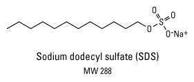 Sodium dodécyle sulfate (SDS) C12, Pierce™