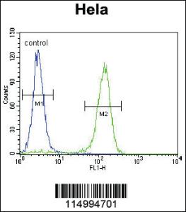 Anti-SELPLG Rabbit Polyclonal Antibody