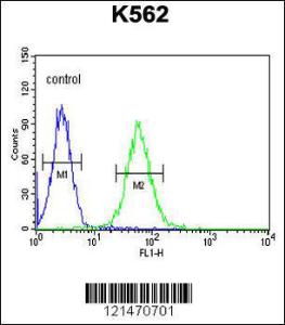 Anti-MINPP1 Rabbit Polyclonal Antibody (Biotin)