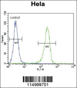 Anti-CCNH Rabbit Polyclonal Antibody [clone: 33CT11.40.3]