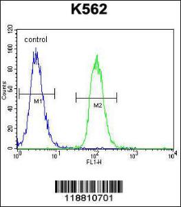 Anti-MITF Rabbit Polyclonal Antibody (AP (Alkaline Phosphatase))