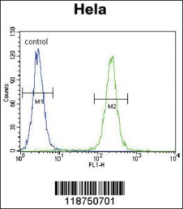 Anti-IGF2 Rabbit Polyclonal Antibody [clone: 125CT13.3.5]