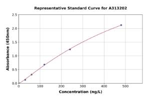 Representative standard curve for human LEFTY2 ELISA kit (A313202)