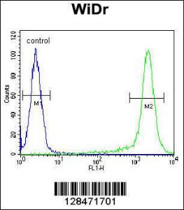 Anti-SLC35G5 Rabbit Polyclonal Antibody (HRP (Horseradish Peroxidase))