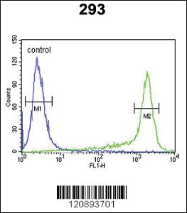 Anti-PRAMEF20 Rabbit Polyclonal Antibody