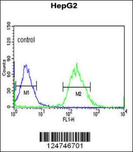 Anti-YME1L1 Rabbit Polyclonal Antibody (PE (Phycoerythrin))