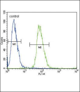 Anti-ADH4 Rabbit Polyclonal Antibody (HRP (Horseradish Peroxidase))