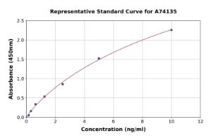 Representative standard curve for Rat VEGF Receptor 2 ELISA kit (A74135)