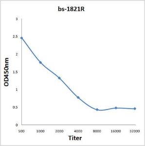 Anti-ICAM3 Rabbit Polyclonal Antibody