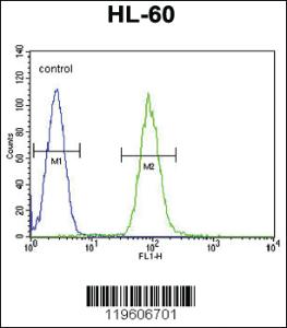 Anti-DPP3 Rabbit Polyclonal Antibody [clone: 137CT26.1.1]