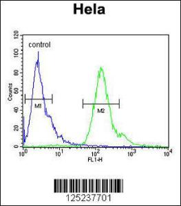 Anti-MMGT1 Rabbit Polyclonal Antibody (APC (Allophycocyanin))