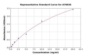 Representative standard curve for Human CD11b ELISA kit (A76836)