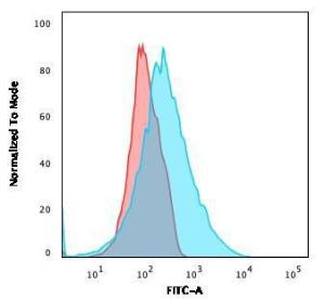 Flow cytometric analysis of Jurkat cells using Anti-PD-L2 Antibody [PDL2/1850] followed by Goat Anti-Mouse IgG (CF&#174; 488) (Blue). Isotype Control (Red)