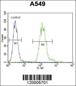 Anti-TDP2 Rabbit Polyclonal Antibody [clone: 139CT1.1.5]