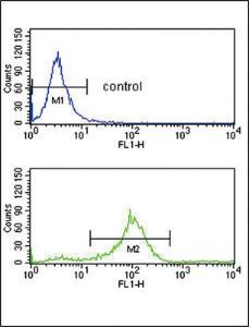 Anti-SFRP1 Rabbit Polyclonal Antibody (AP (Alkaline Phosphatase))