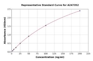 Representative standard curve for Human Anti-LAMP2 Antibody ELISA kit (A247352)