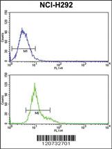 Anti-GSTO1 Rabbit Polyclonal Antibody