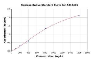 Representative standard curve for Mouse DKK2 ELISA kit (A312475)