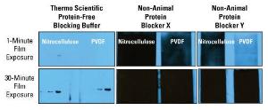 Blocking buffers, protein-free, Pierce™