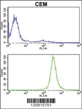 Anti-JAG1 Rabbit Polyclonal Antibody