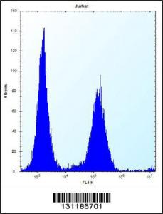 Anti-KRTAP25-1 Rabbit Polyclonal Antibody (FITC (Fluorescein Isothiocyanate))