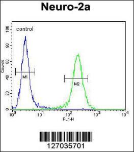 Anti-ZDHHC2 Rabbit Polyclonal Antibody (AP (Alkaline Phosphatase))