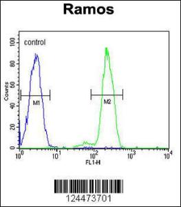 Anti-DCP1B Rabbit Polyclonal Antibody (Biotin)