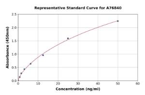 Representative standard curve for Human ITIH1/SHAP ELISA kit (A76840)