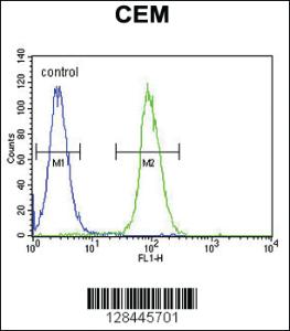 Anti-COL5A1 Rabbit Polyclonal Antibody