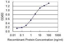 Anti-UBQLN1 Mouse Monoclonal Antibody [clone: 1C6-B7]