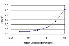 Anti-ZWINT Polyclonal Antibody Pair