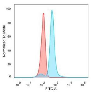 Flow cytometric analysis of PFA-fixed HeLa cells using Anti-IRF9 Antibody [PCRP-IRF9-2F8] followed by Goat Anti-Mouse IgG (CF&#174; 488) (Blue). Unstained cells (Red).