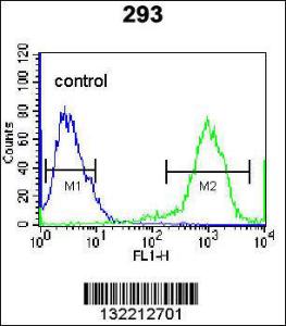 Anti-RHOXF2 Rabbit Polyclonal Antibody (FITC (Fluorescein Isothiocyanate))