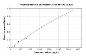 Representative standard curve for human C11B2/CYP11B2 ELISA kit (A313206)