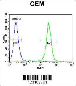 Anti-MNDA Rabbit Polyclonal Antibody (AP (Alkaline Phosphatase))