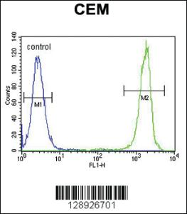 Anti-NUDT22 Rabbit Polyclonal Antibody [clone: 157CT16.6.6]