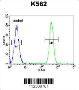 Anti-MOGT1 Rabbit Polyclonal Antibody (FITC (Fluorescein Isothiocyanate))