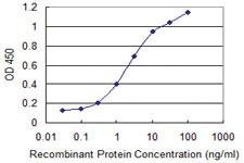 Anti-TFEC Mouse Monoclonal Antibody [clone: 4F11]