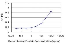 Anti-NHLH2 Mouse Monoclonal Antibody [clone: 1F4]