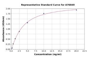 Representative standard curve for Human KIF5A ELISA kit (A76849)