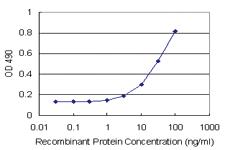 Anti-ICOSL Antibody Pair