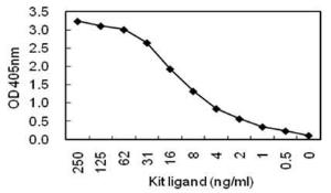 Sandwich ELISA using KT118 coated plate and HRP conjugated KT117