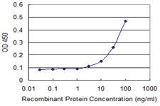 Anti-PILRA Mouse Monoclonal Antibody [clone: 3C2]