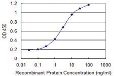 Anti-PHF7 Mouse Monoclonal Antibody [clone: 1A7]