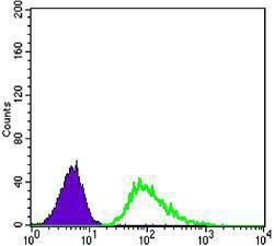 Anti-TUBB3 Mouse Monoclonal Antibody [clone: 2E9]