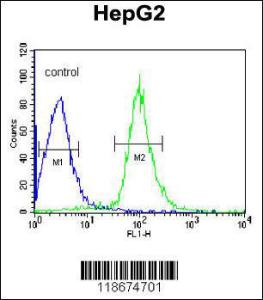 Anti-AHSG Rabbit Polyclonal Antibody (PE (Phycoerythrin))