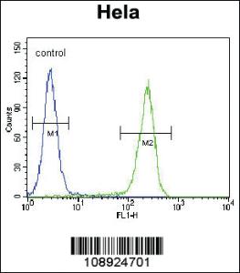 Anti-CRHR2 Rabbit Polyclonal Antibody [clone: 179CT11.2.1]