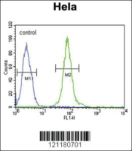 Anti-POTEKP Rabbit Polyclonal Antibody