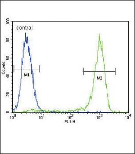 Anti-AKT1 Rabbit Polyclonal Antibody